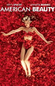 American Beauty poster
