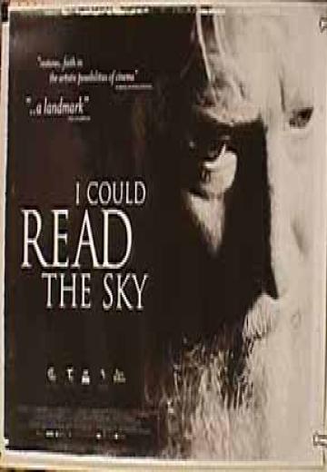 I Could Read the Sky poster
