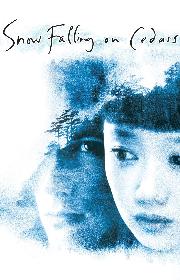 Snow Falling on Cedars poster