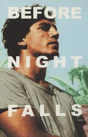 Before Night Falls poster