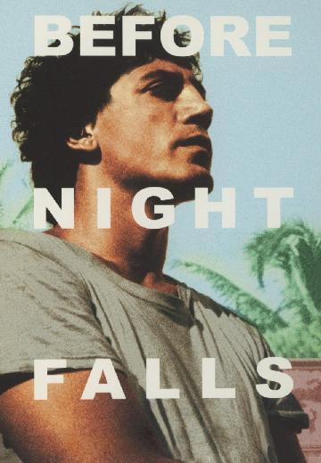 Before Night Falls poster