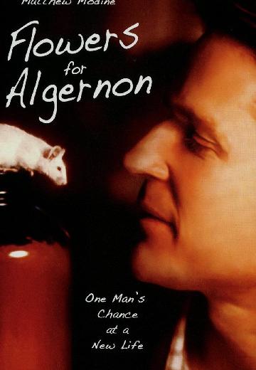 Flowers for Algernon poster