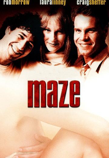 Maze poster