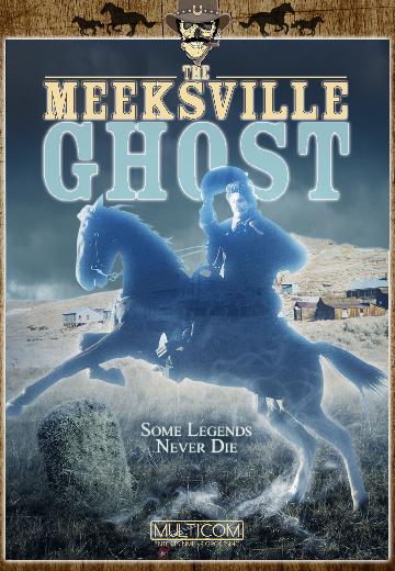 The Meeksville Ghost poster