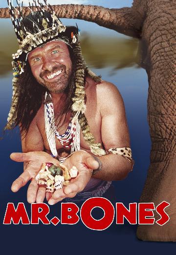Mr. Bones poster