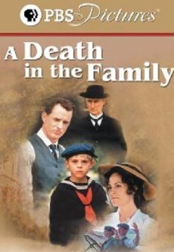 A Death in the Family poster