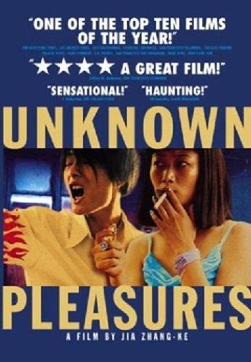 Unknown Pleasures poster