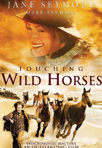 Touching Wild Horses poster