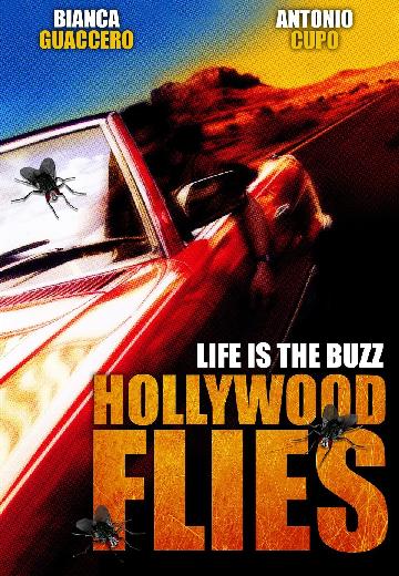 Hollywood Flies poster