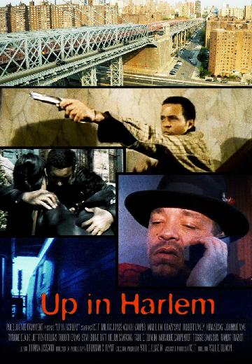 Up in Harlem poster