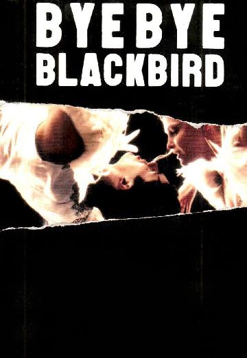 Bye Bye Blackbird poster