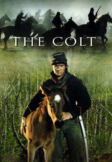 The Colt poster