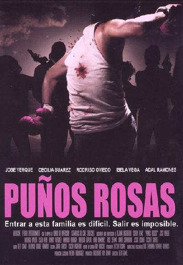 Pink Punch poster