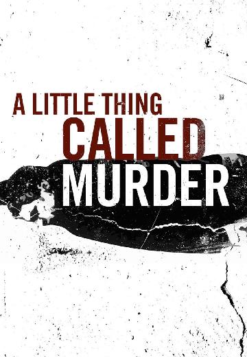A Little Thing Called Murder poster