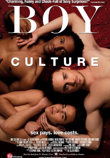 Boy Culture poster