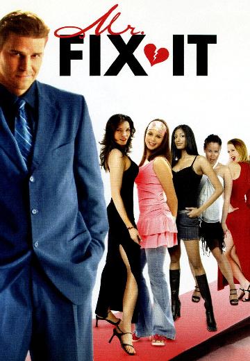Mr. Fix It poster