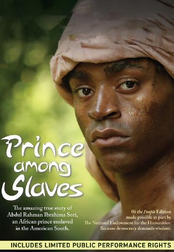 Prince Among Slaves poster