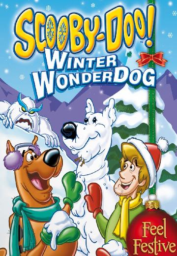 Scooby-Doo!: Winter Wonderdog poster