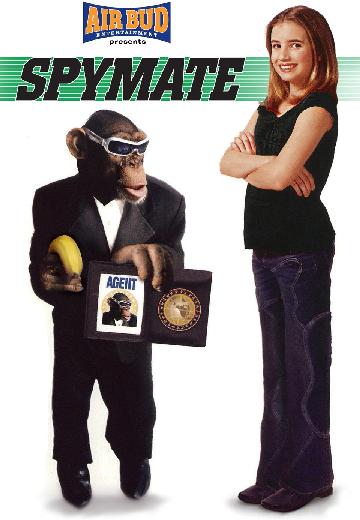 Spymate poster