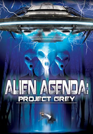 Project Grey poster