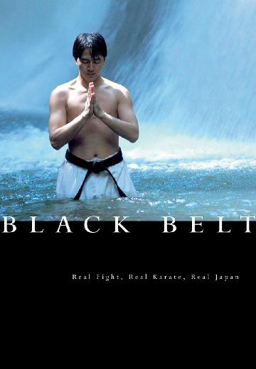 Black Belt poster