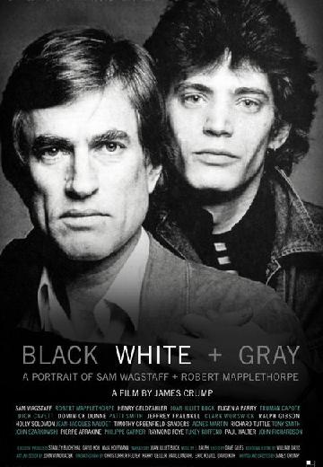 Black White & Gray: A Portrait of Sam Wagstaff and Robert Mapplethorpe poster