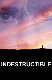 Indestructible poster