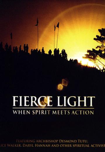 Fierce Light: When Spirit Meets Action poster