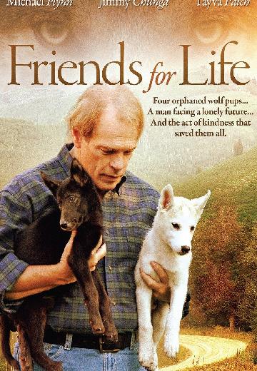 Friends for Life poster
