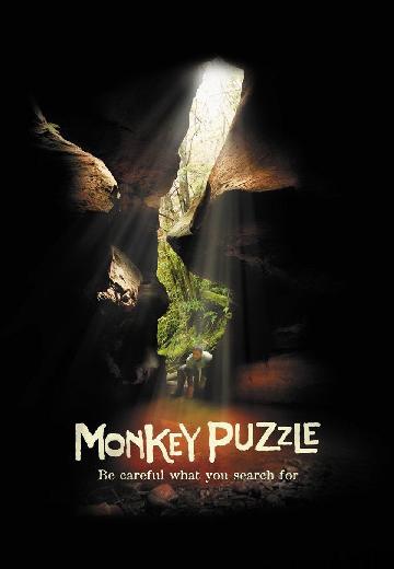 Monkey Puzzle poster