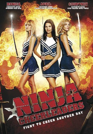 Ninja Cheerleaders poster