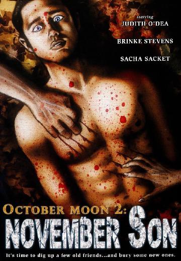 October Moon 2: November Son poster