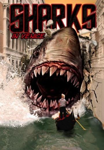 Sharks in Venice poster