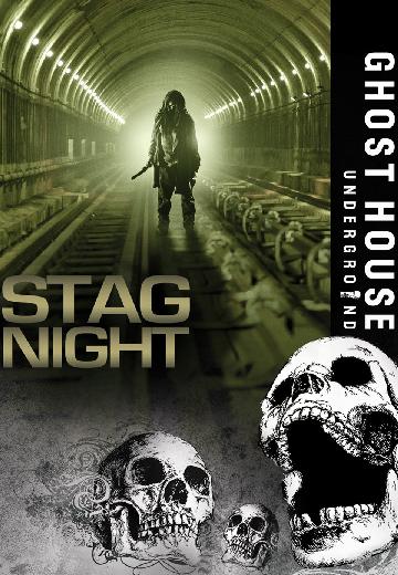 Stag Night poster