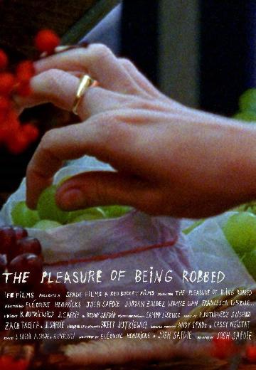 The Pleasure of Being Robbed poster