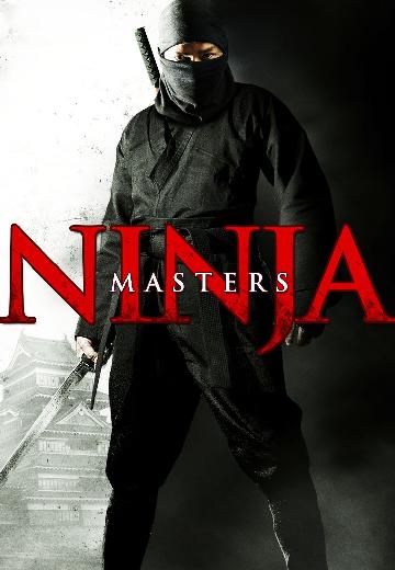 Ninja Masters poster