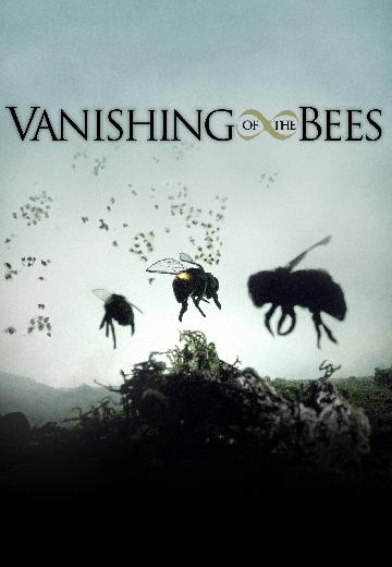 Vanishing of the Bees poster