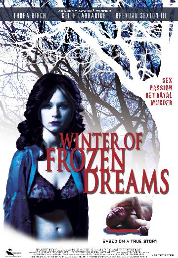 Winter of Frozen Dreams poster