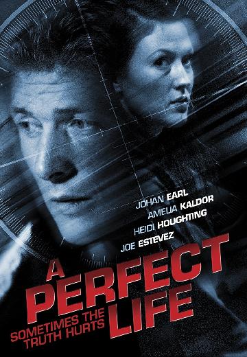 A Perfect Life poster
