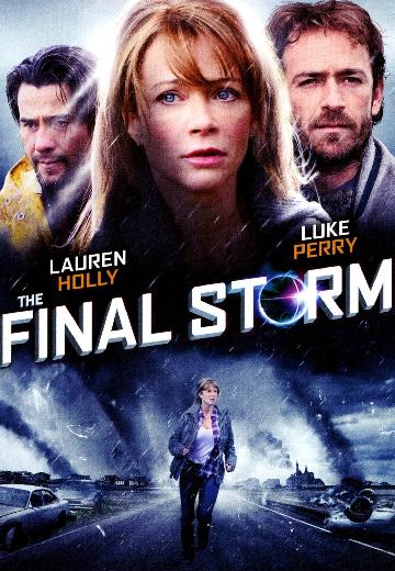 The Final Storm poster