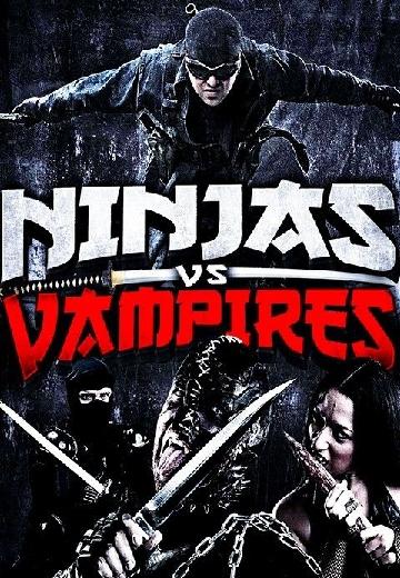Ninjas vs. Vampires poster