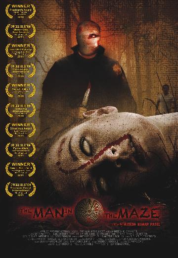 The Man in the Maze poster