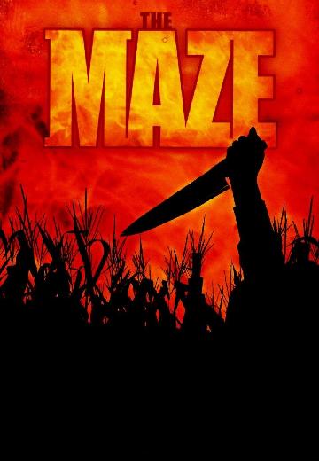 The Maze poster