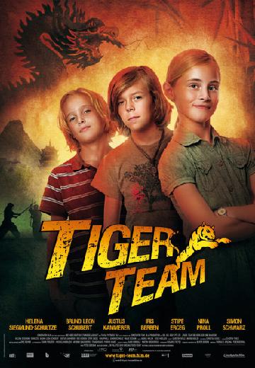 Tiger Team poster