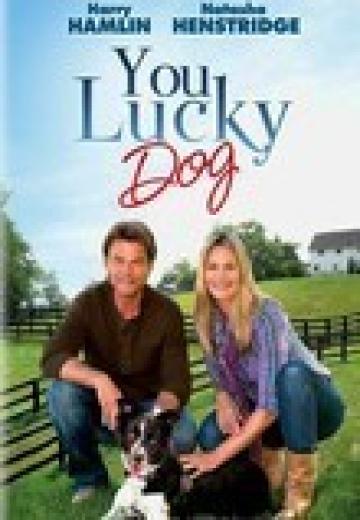 You Lucky Dog poster