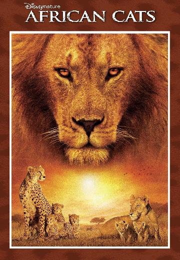 African Cats poster
