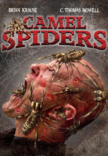 Camel Spiders poster