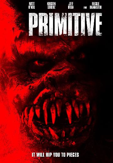 Primitive poster
