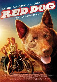 Red Dog poster