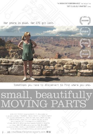 Small, Beautifully Moving Parts poster